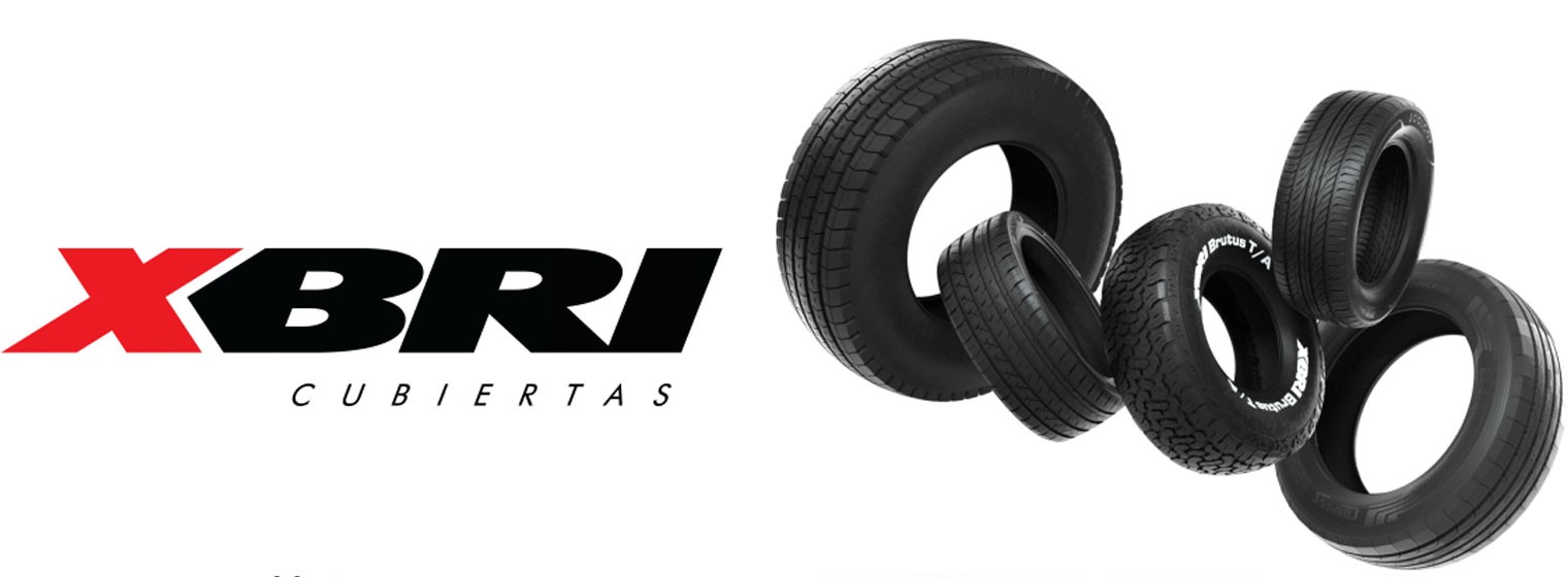 12-XBRI Cubiertas
