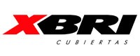 XBRI